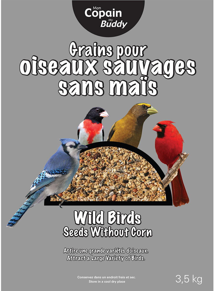 Mélange de graines pour oiseaux sauvages - Mon Copain / My buddy - 7 KG -  Matériaux Audet